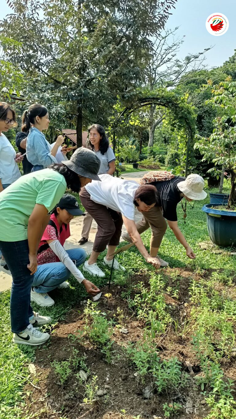 Belajar Mengenali Jenis Tanaman Obat di Kebun Wisata Ilmiah Bogor ...