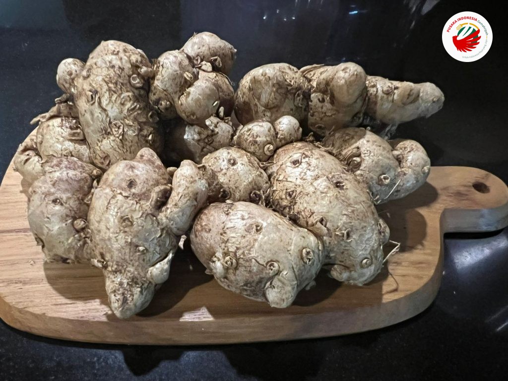 Kencur Herbal - Pusaka Indonesia