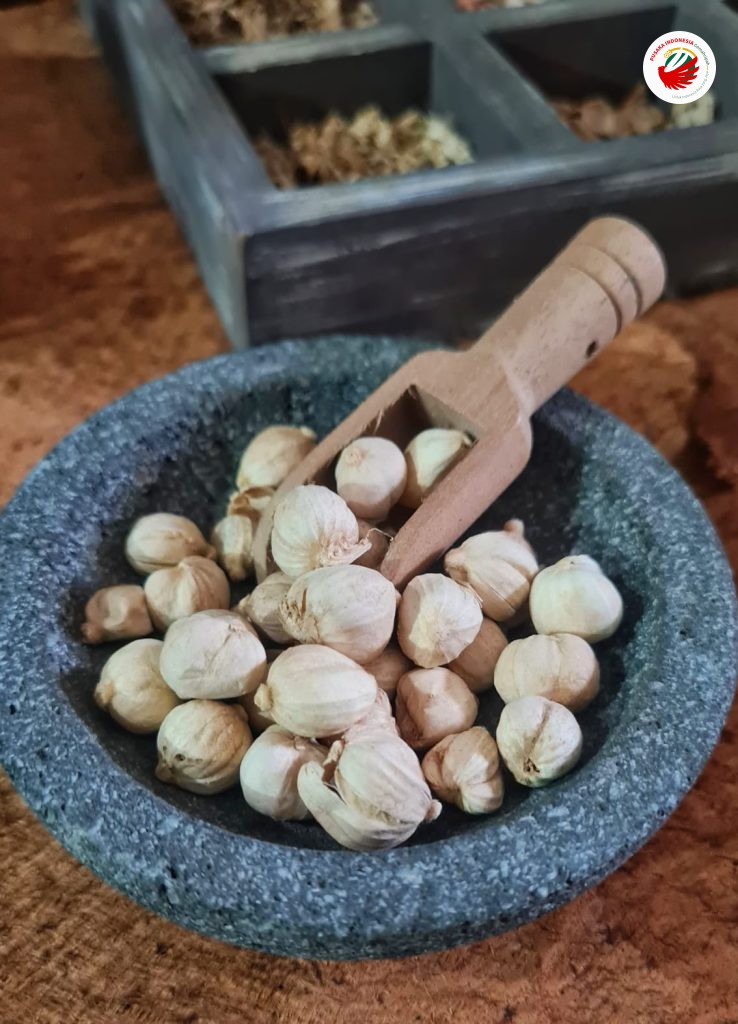 Mengenal Kapulaga Pusaka Indonesia