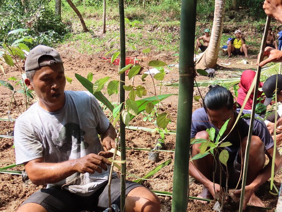 Metode Miyawaki Solusi Membangun Hutan dengan Cepat di Lahan Sempit