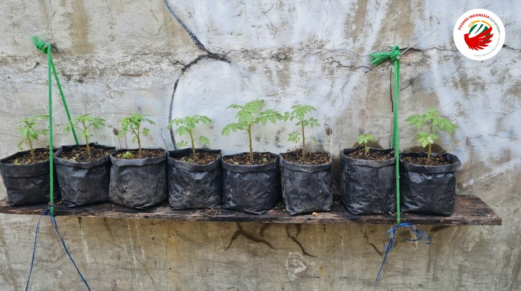 Mengurangi Belanja, Menumbuhkan Harapan Gerakan Polybag untuk Keluarga - Pusaka Indonesia