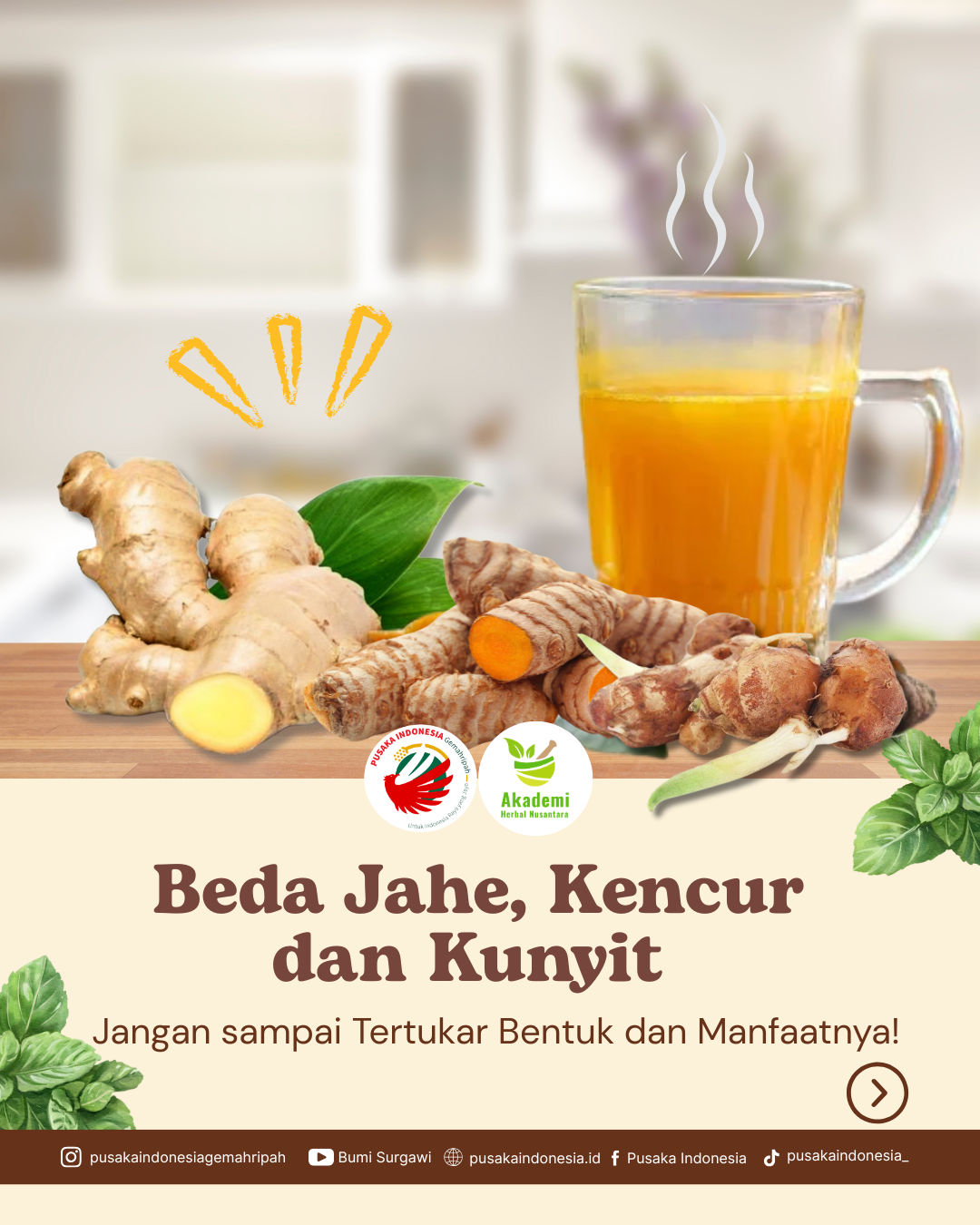 Beda Jahe Kencur 1