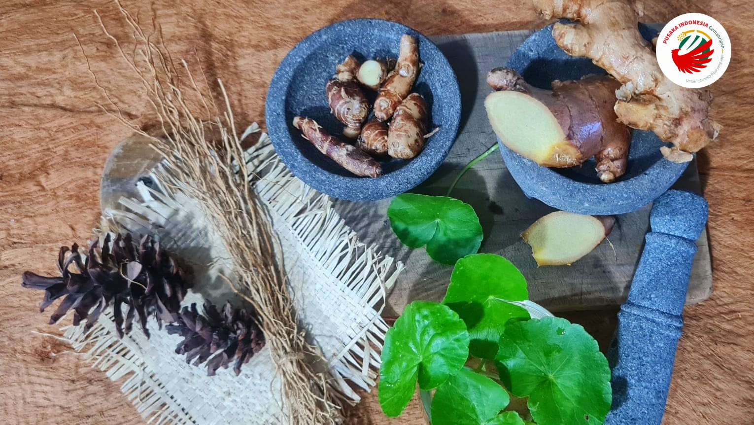 Redakan Stres dan Kecemasanmu dengan Herbal Alami Nusantara