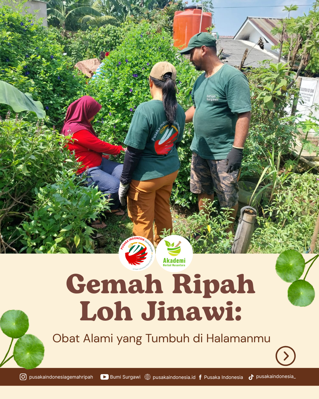 Obat Alami Yang Tumbuh di Halamanmu (1)