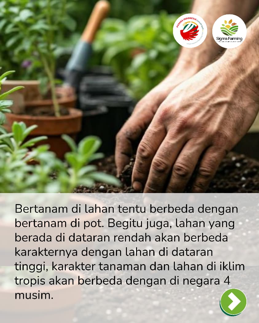 Sebelum menanam Kenali Potensi Kebunmu - Pusaka Indonesia (2)