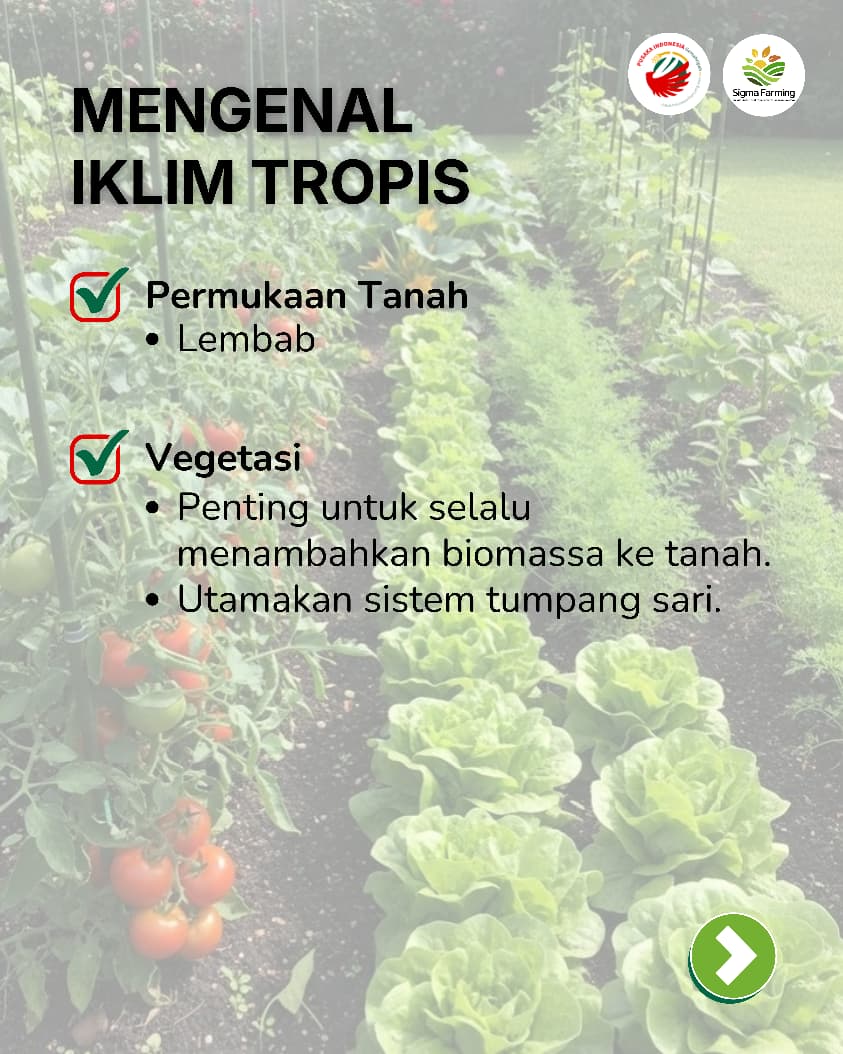 Sebelum menanam Kenali Potensi Kebunmu - Pusaka Indonesia (3)