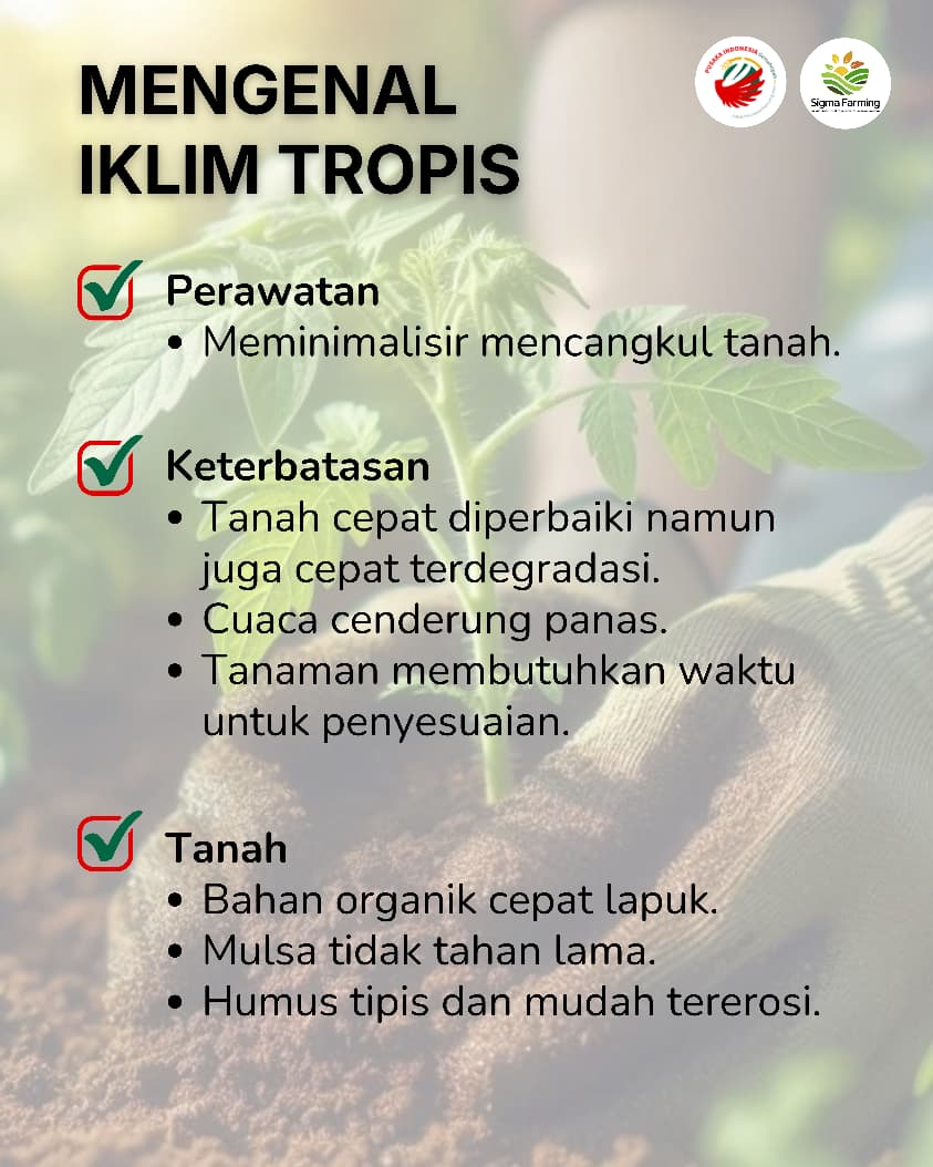 Sebelum menanam Kenali Potensi Kebunmu - Pusaka Indonesia (5)