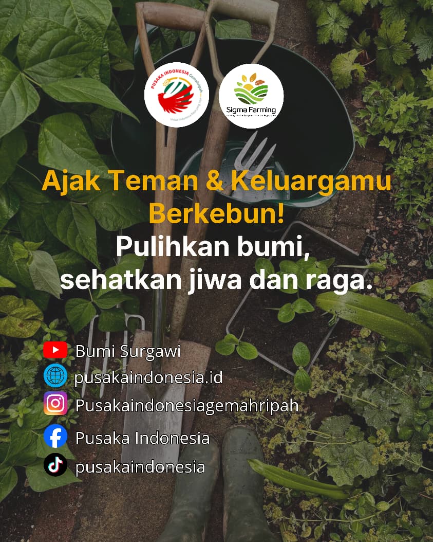 Sebelum menanam Kenali Potensi Kebunmu - Pusaka Indonesia (6)