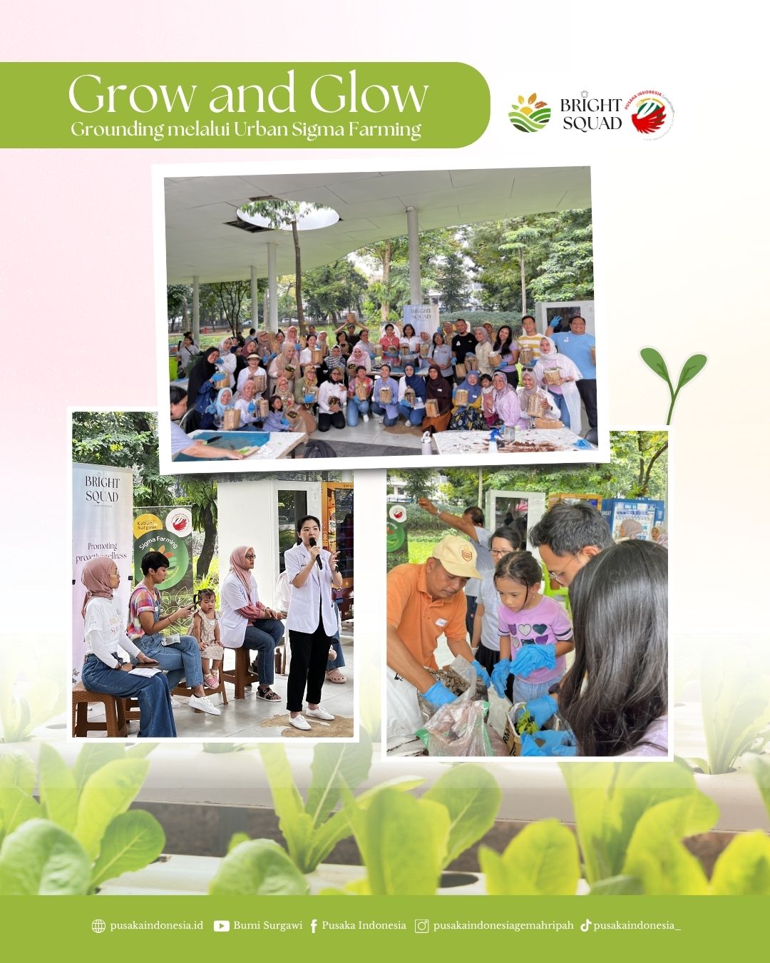 Grow n Glow Pusaka BS 1