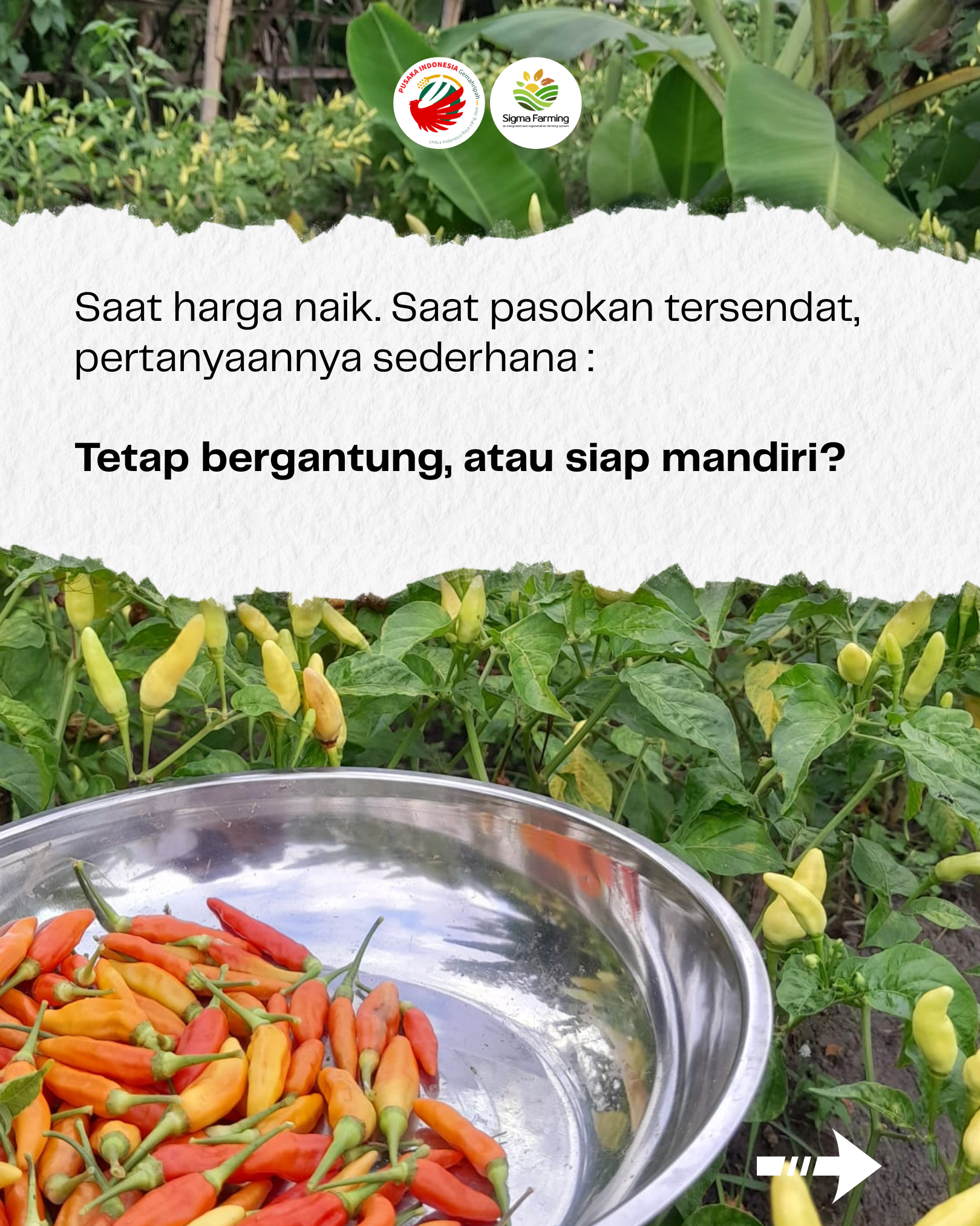 Slide 2 Kedaulatan Pangan