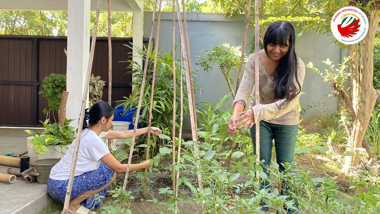 Kebun Surgawi Seni Membangun Ketahanan Pangan Keluarga ala Sigma Farming