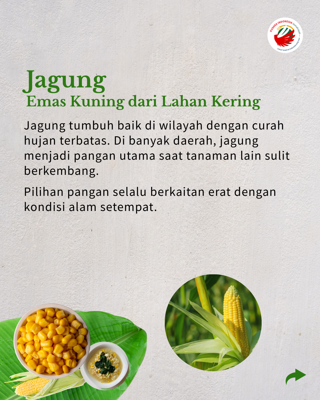 Carousel Peta Pangan Nusantara (5)