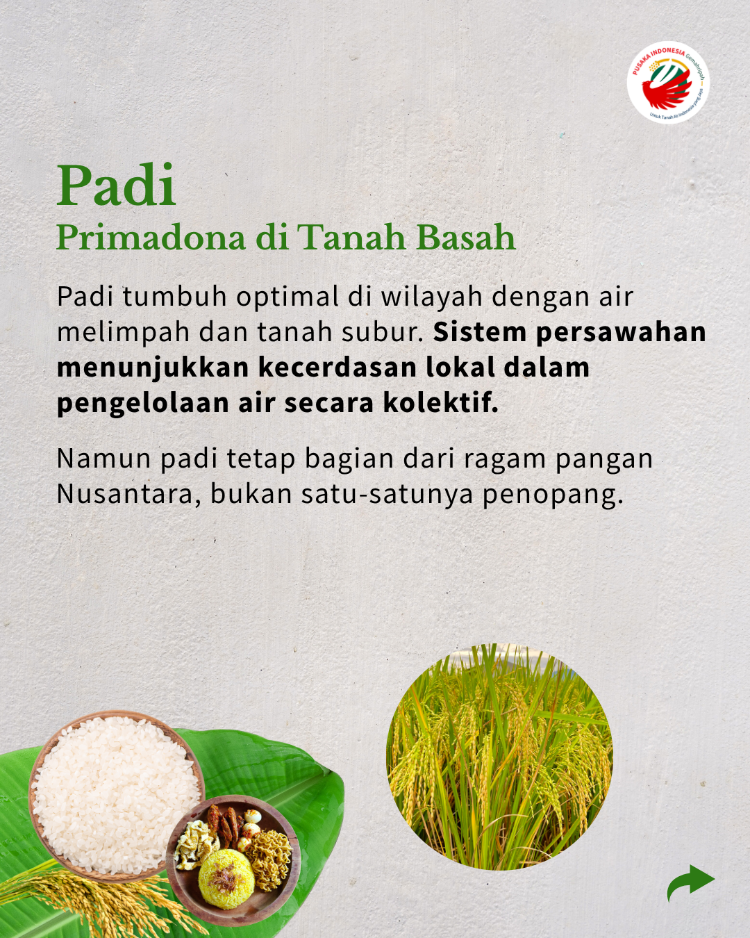 Carousel Peta Pangan Nusantara (6)