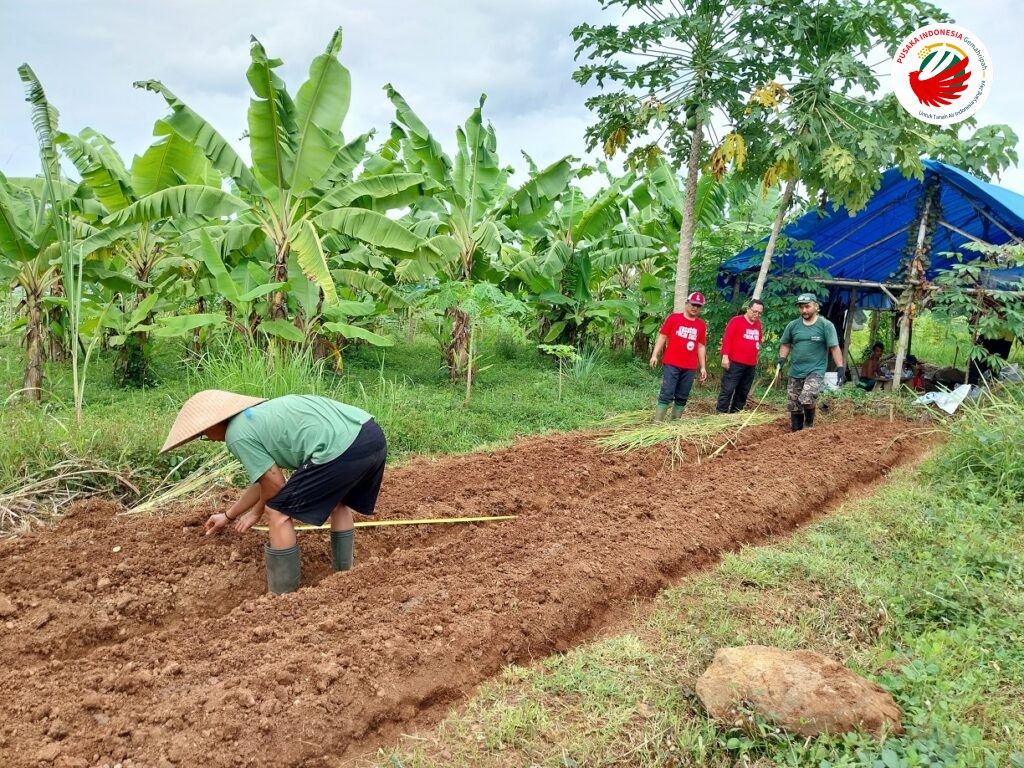 Aktivitas Tim SFA Mengolah Kebun Surgawi