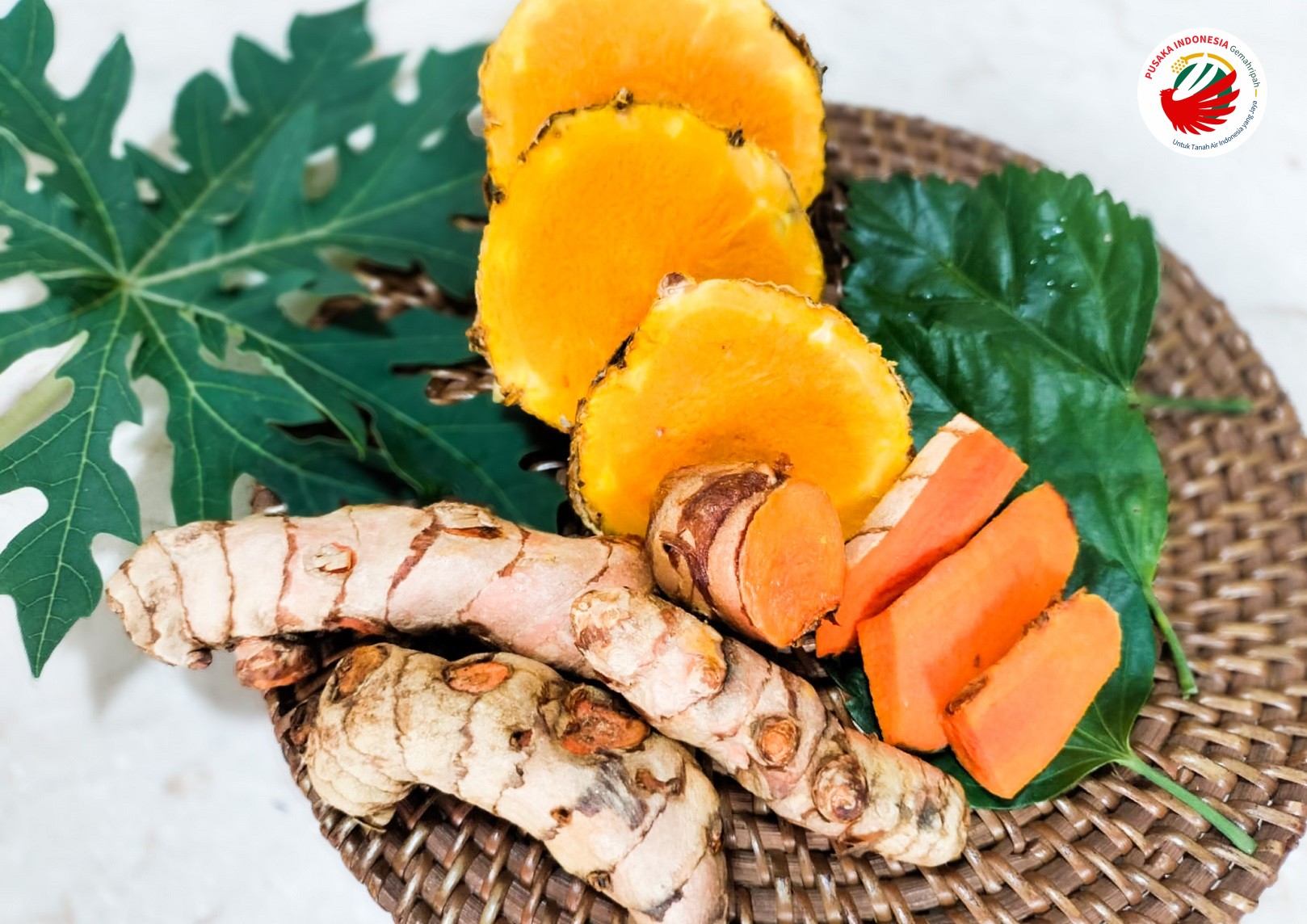 Bahan-bahan herbal yang Digunakan dalam Membuat Jamu Terapi Tuberkulosis