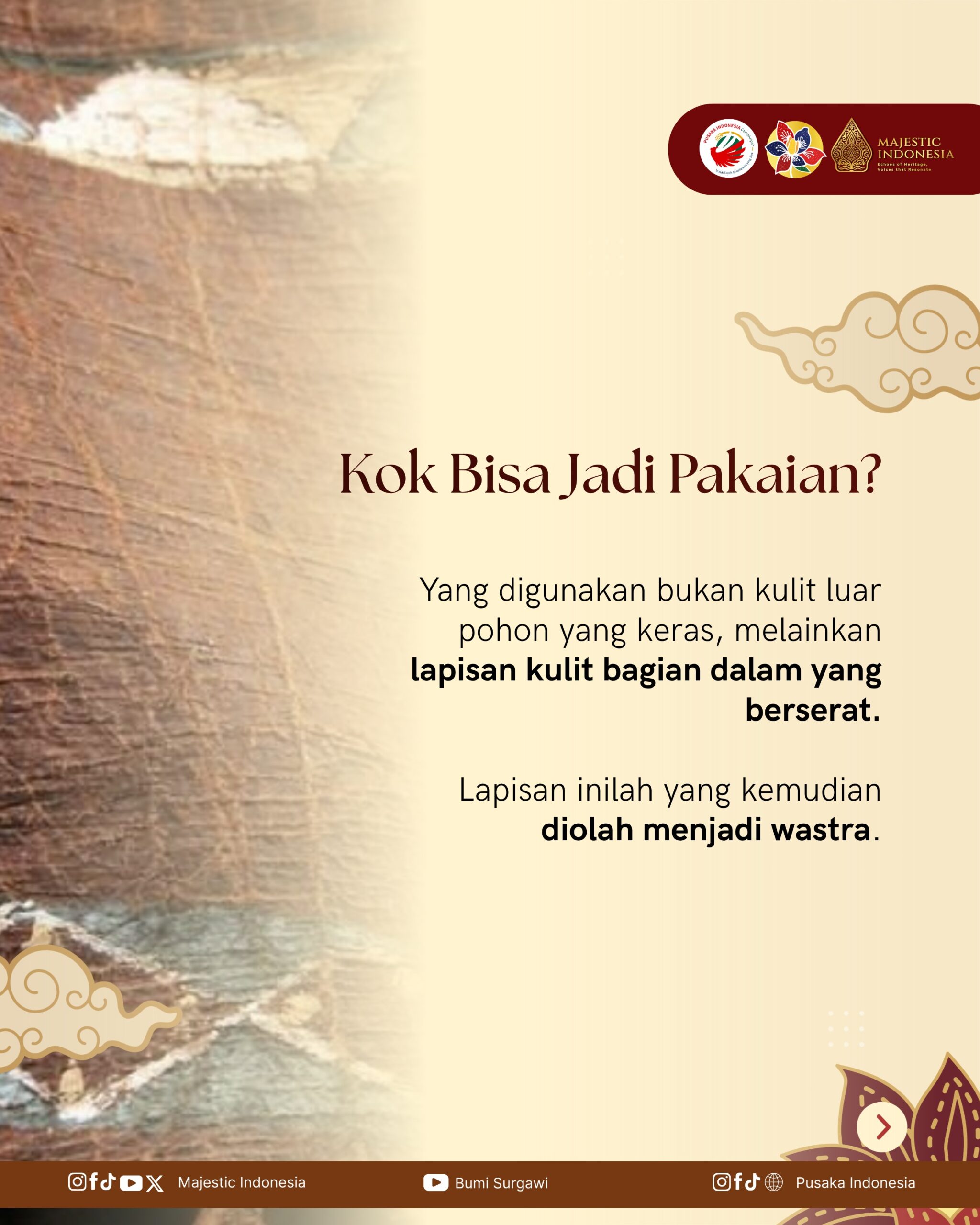 Wastra Kulit Kayu 2